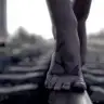 ciplakayaklar