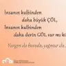 Aseldefne