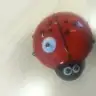 Dazybug