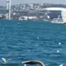 Biravucdua