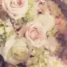 elif_erva