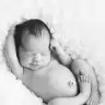 daphneay