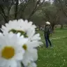 tly derman