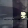 melek8memet