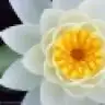 SxixlaK.