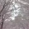 hagzmrun