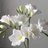 evraa4