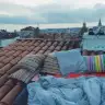 Elvan81