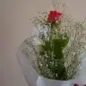 hamide_16