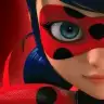 Miracle Ladybug