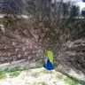 Kaderimesra