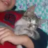 punkcute