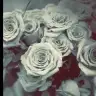 oyku_yldz_kcn