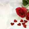 demet akyol