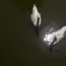 peritozu