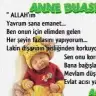 Serap asel