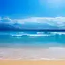 turquaz4566