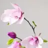 Edayusuf83