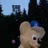 gulibik gulibik