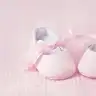 mrvcece