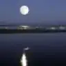 mavigun_82