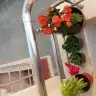 Boncuk2227