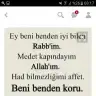 Elifsarisoy