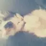 iremm__2