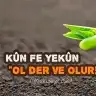 isi1