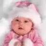 ebruserkan