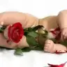 Oany