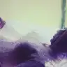 busrademir