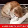 Bulamadigim kendim