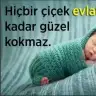 Edaali01ez