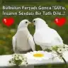 sevgi LG
