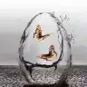 hayatbos