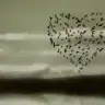 birhemsire