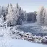 cecekayhan