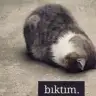 hepmutsuz435