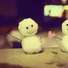 dilekseddd