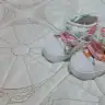 Taze gelincik