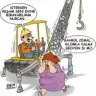 qulizar46