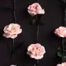MlhMrvMrh