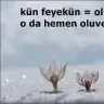 Kun feyekun