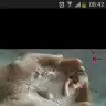 Deniz763