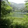 elizlina