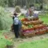 miemre