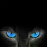 Thelionesss