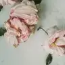 nurose