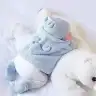 MrsTugba
